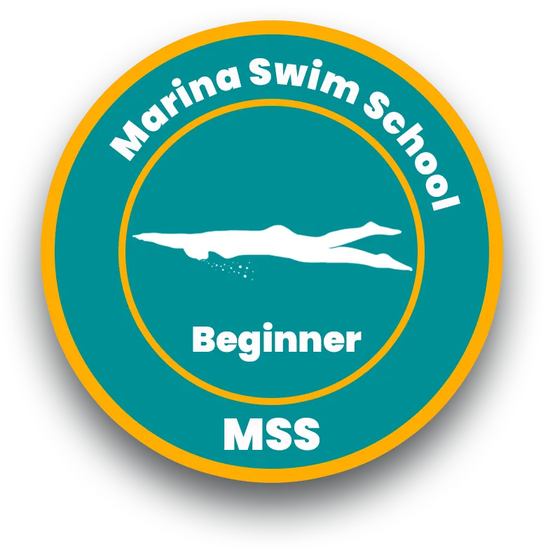MSS-Beginner